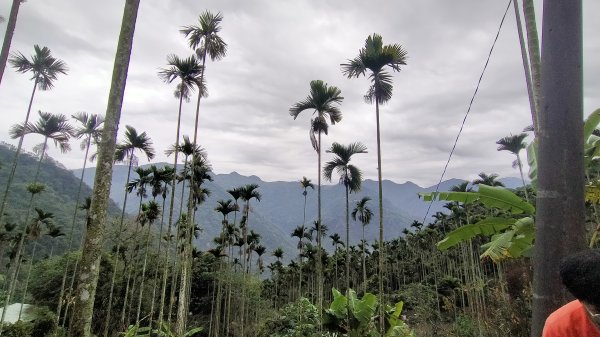 阿拔泉山稜線步道雲海1561741