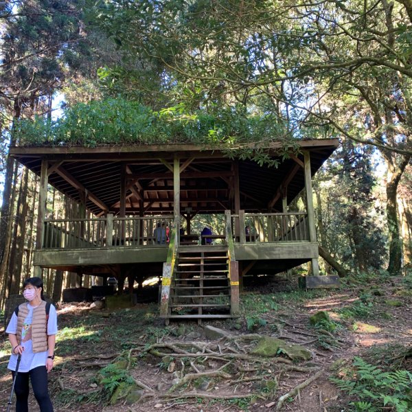 奮起湖大棟山1547915