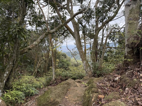 [微笑山線_第四段] 2026_0321 天上山系_石門內尖山3022065