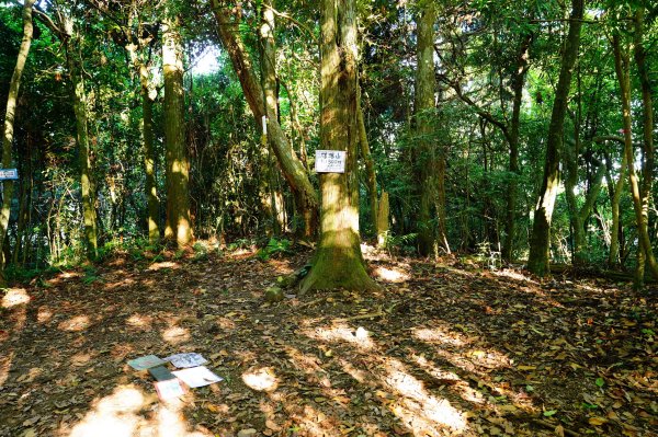 新竹 尖石 煤源山、比麟山、尖石山3071509