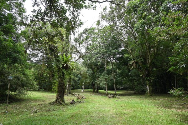 2025_0712 福山植物園2836249