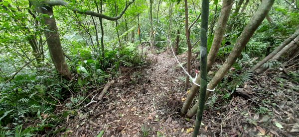 20200509 暖暖 - 威惠廟960901