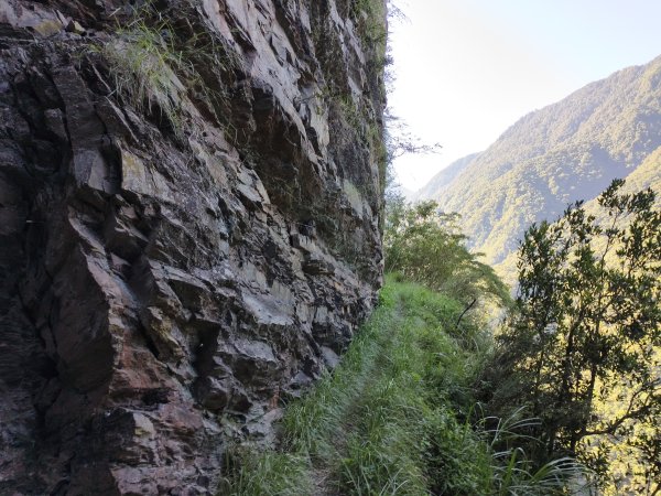 [玉山尋寶任務-07/12] 2025_0824 八通關雲龍瀑布步道2870612