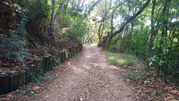 麒麟山森林步道1483325