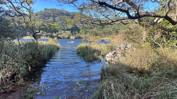 大屯山五連峰含面天山2934622