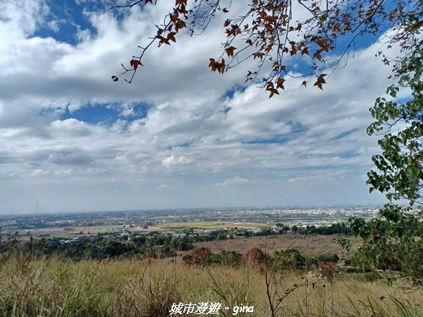 【彰化社頭】台灣百大必訪步道。清水岩中央嶺造林步道十八彎古道O型2029262