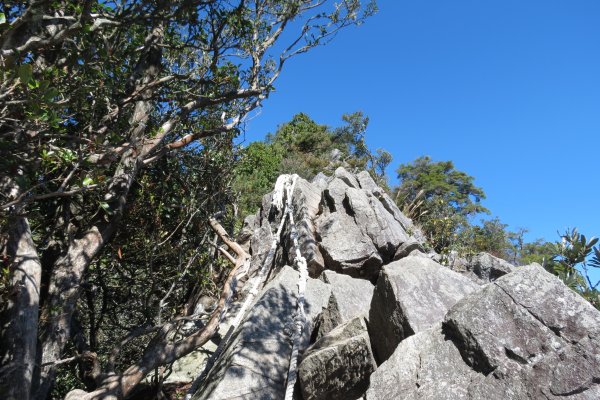 《台中》愛上山｜初登鳶嘴山2016121412088