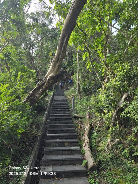 2025-12-06微笑山線：【二格山系】和美山螢火蟲段2956811