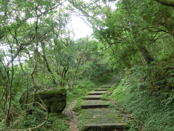 清天宮．面天坪．大屯坪．二子坪94407