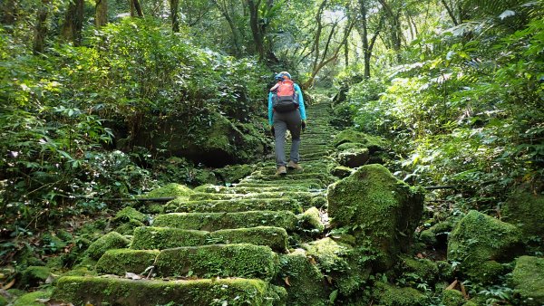 距離不長可以峰來峰去的平溪八連峰8字登山行1364304