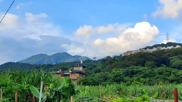 北投忠義山，竹圍樹梅坑步道，關渡楓丹白露步道，淡水海關碼頭，多田榮吉故居，一滴水紀念館，殼牌文化園區1746280