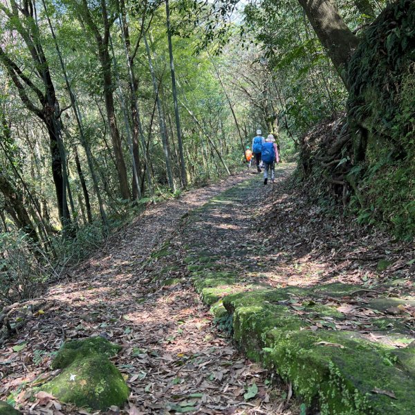 走遍陽明山尋寶任務/環陽明山人車分道陽金、小油坑、冷水坑、中山樓封面