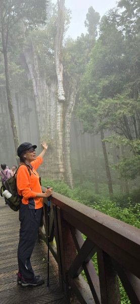 阿里山水山療癒步道_202407062569754