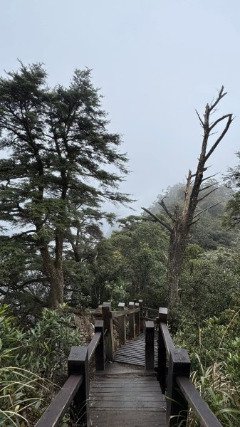 20250101內鳥嘴山北得拉曼步道2681573