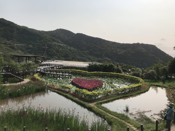 ~  臺北大縱走  第五段  ~1335017