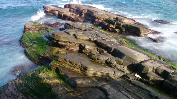 忘憂谷．潮境公園2016.0251084