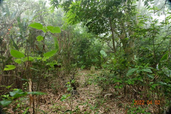 臺南 龍崎 烏山頭山(龍船窩山)1663628