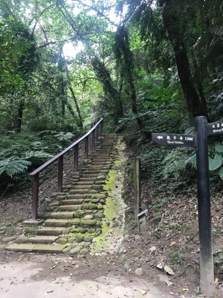 獅頭山、猿山、獅尾山三連走525976
