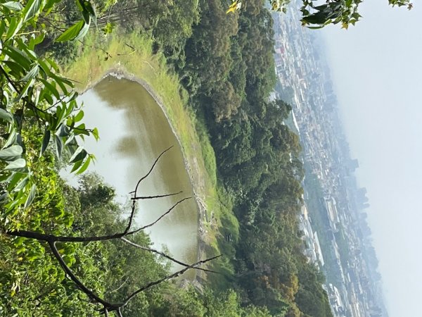 20230503__三汀山+阿罩霧山（台中小百岳）2762357