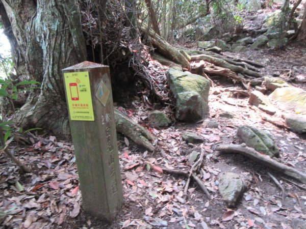 20200321-白毛山886575