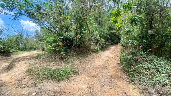 棚集山(小百岳#78)2800384