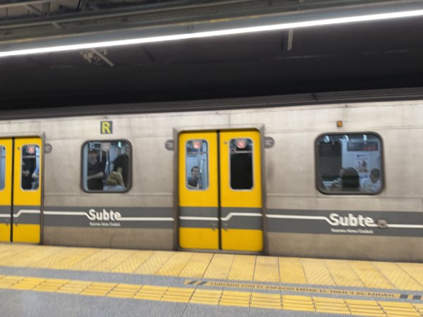 [紐約馬之行-59] 2025_1114 卡洛斯·泰斯植物園-上2953890