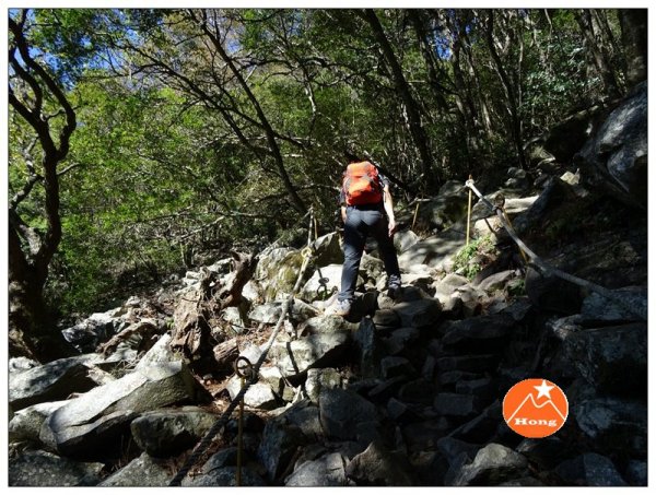  谷關七雄/波津加山1037038