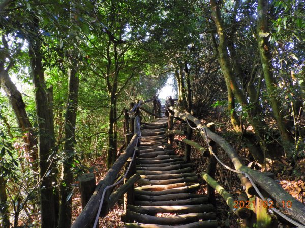 臺中 北屯 頭嵙山1266571