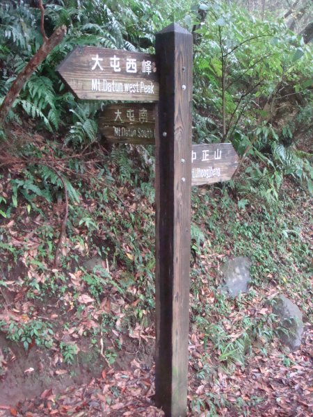 中正山親山步道1809356