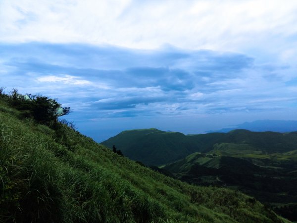 步道探訪｜七星山主東峰苗圃線1443243