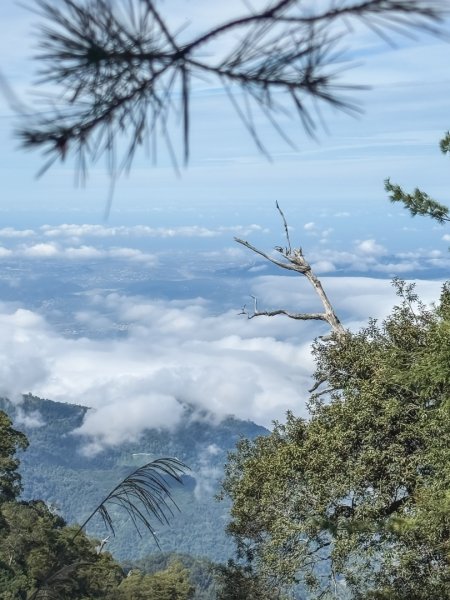 船型山林道賞雲海、烏石坑山、2432峰 山景海景一次到位2929287