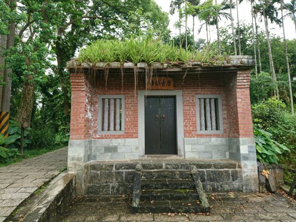 貓空樟樹步道 2017.05.21139497