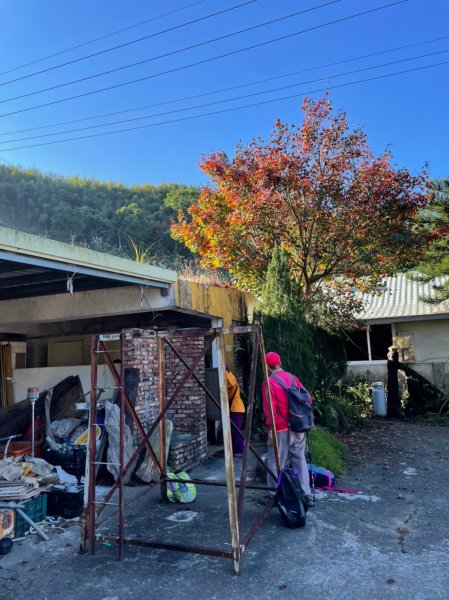 馬那邦山賞楓趣1549537