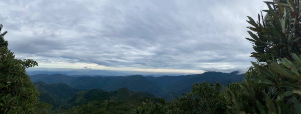 東眼山2602345