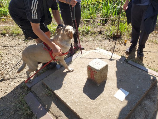 小百岳_馬那邦山1501291