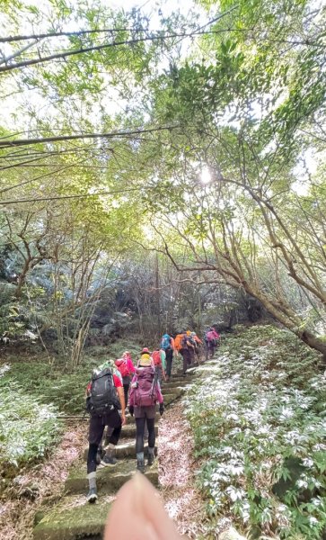 槓子寮山(小百岳#04)走砲台順遊茵夢湖2907287