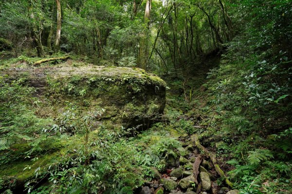 桃園 復興 赫威山、多崖山、北插天山2329015