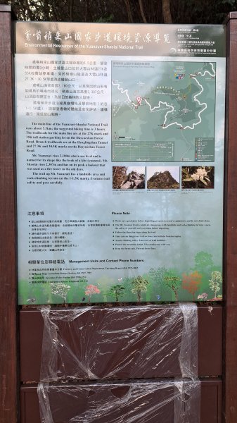 台中 鳶嘴稍來山O繞+稍來神木2989451