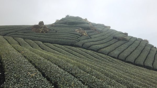 二延平步道1125904