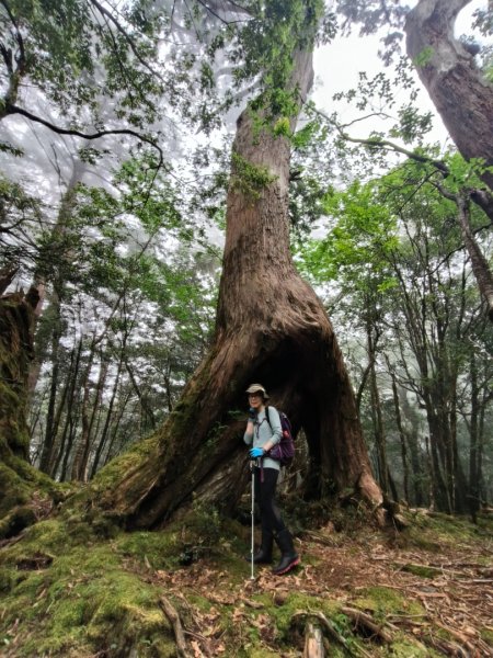 1130511夫拉縱走2500175