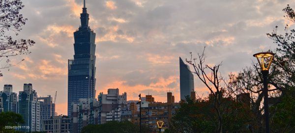 #虎山  #101大樓  #國父紀念館 #河津櫻 #中正紀念堂 2/193002669