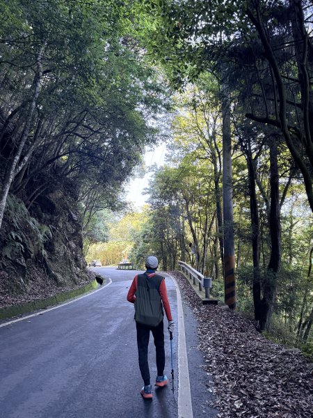 橫嶺山走走避暑趣 2025.6.112815425