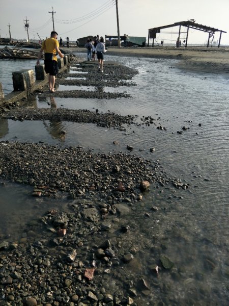 東石白水湖壽島1495526