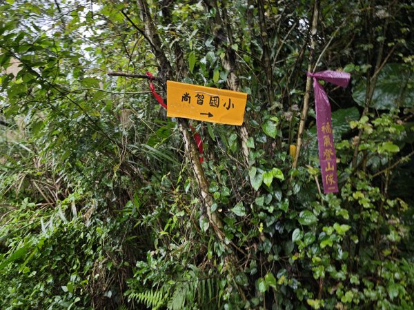 2026_0131 獅球嶺中央砲台2997610