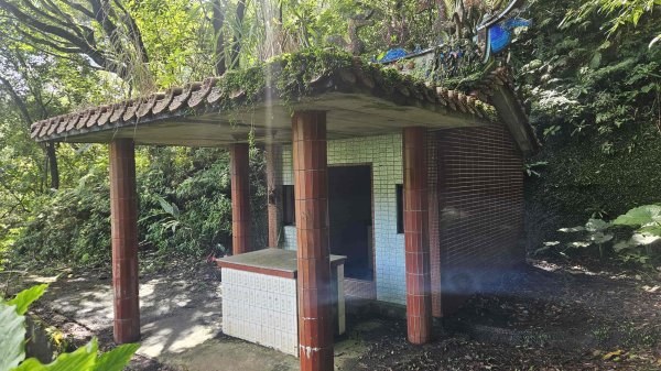 20250723大坑山-深按頭山西峰-334峰-三層崎山2845339