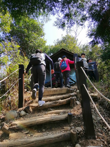 台中北屯~相思圓木棧道練腳力大坑二號步道883319