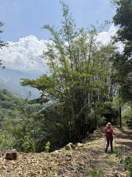 西阿里關山 202605033048192