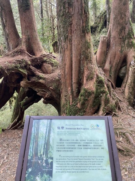 10大塔山對高岳小笠原祝山112.01.163126758