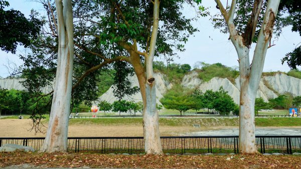 田寮月世界2954553