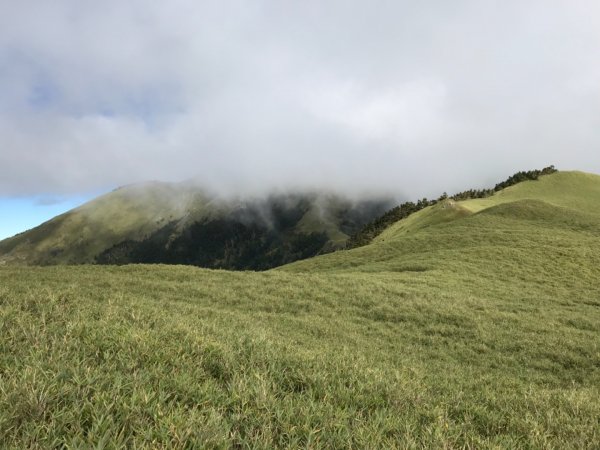 奇萊南華光被八表單攻692095